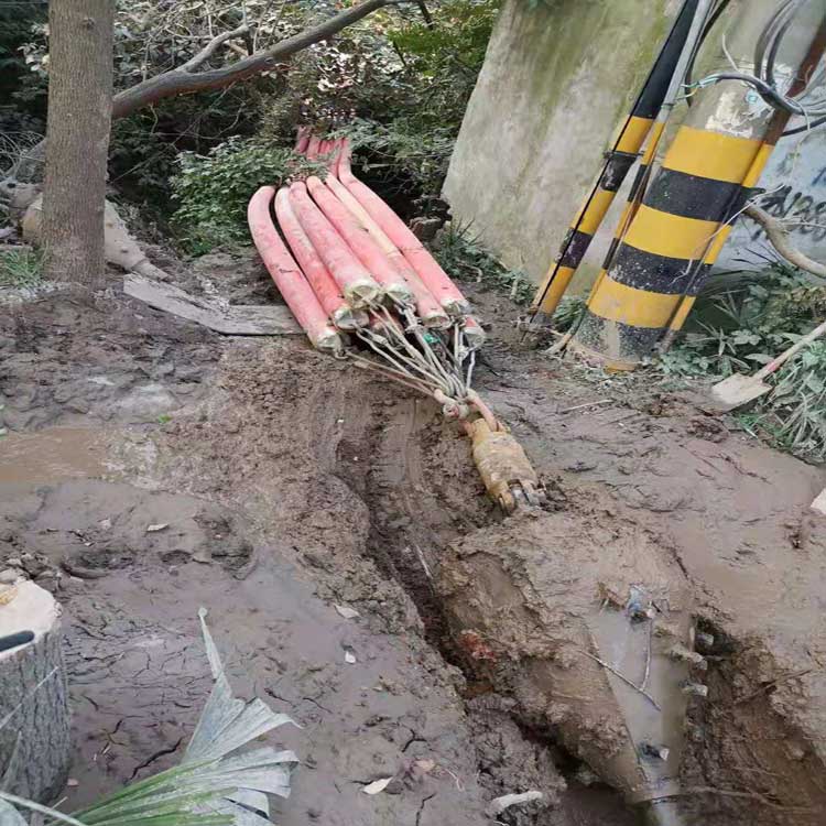 三明武汉电动拖拉管